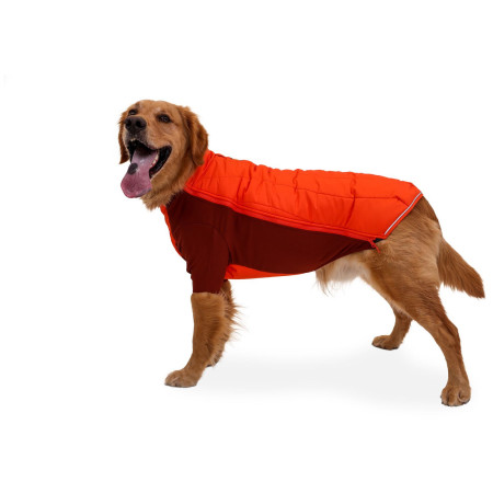 Vêtement pour chien Ruffwear Powder Hound Jacket