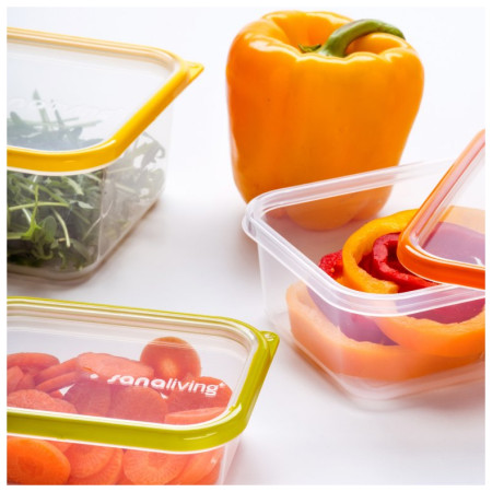 Boîte aliments Omada Sanaliving Box Set 3x 19x14x9cm/1,3L