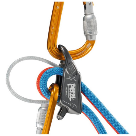 Assureur-descendeur polyvalent Petzl Reverso