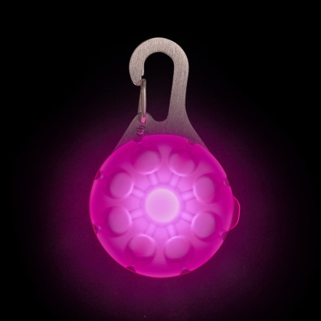 Collier lumineux pour chien Nite Ize SpotLit Rechargeable Collar Light