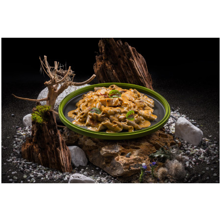 Repas déshydraté Adventure Menu Penne aux protéines de grillon avec poulet dans sauce créole à la crème