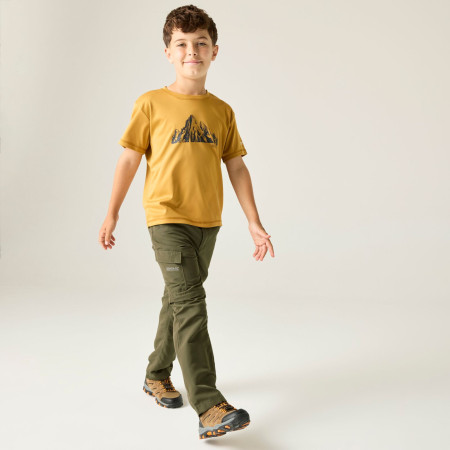Pantalon enfant Regatta Sorcer Z/O Trousers III Treetop