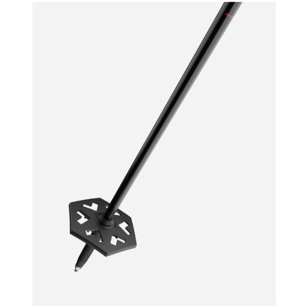 Bâtons de ski alpin Black Crows Duos Freebird