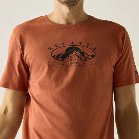 T-shirt homme Regatta Cline IX