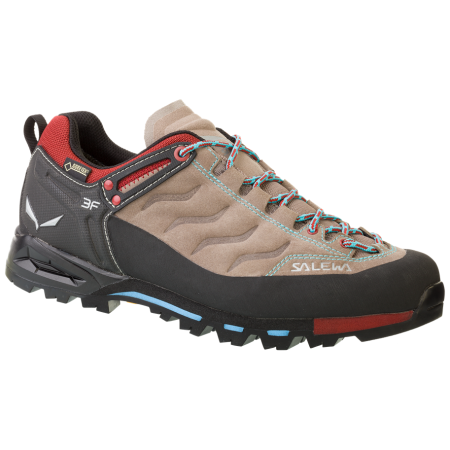 Chaussures femme Salewa MTN Trainer GTX (2017) brun
