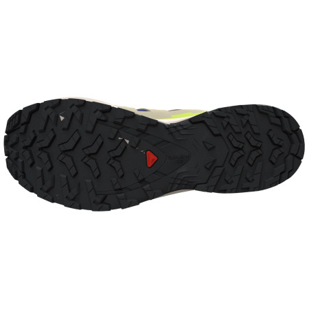 Chaussures homme Salomon Xa Pro 3D V9