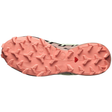 Chaussures femme Salomon Speedcross 6 Gore-Tex