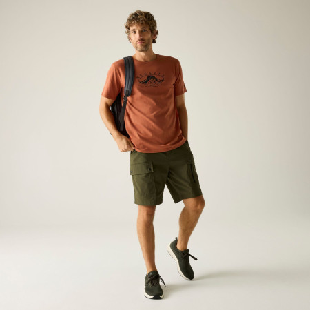 T-shirt homme Regatta Cline IX