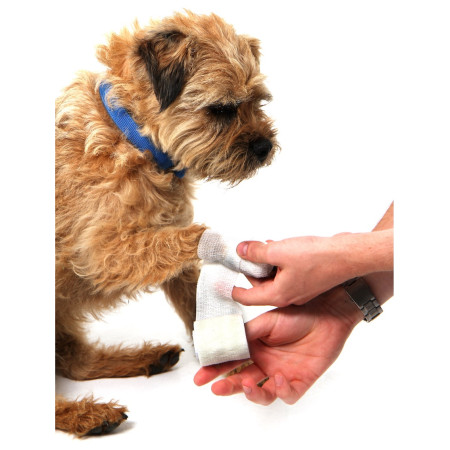 Trousse de premiers secours pour chiens Mountain Paws Dog First Aid Kit