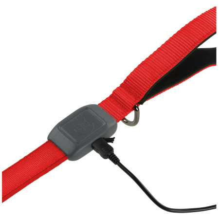 Laisse pour chien Nite Ize LED NiteDog