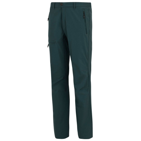 Pantalon homme Regatta Highton Trousers II
