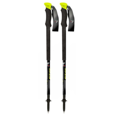 Bâtons randonnée Fizan Compact Pro