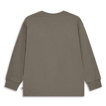T-shirt enfant Lego Wear Lwtaj 608 Brown