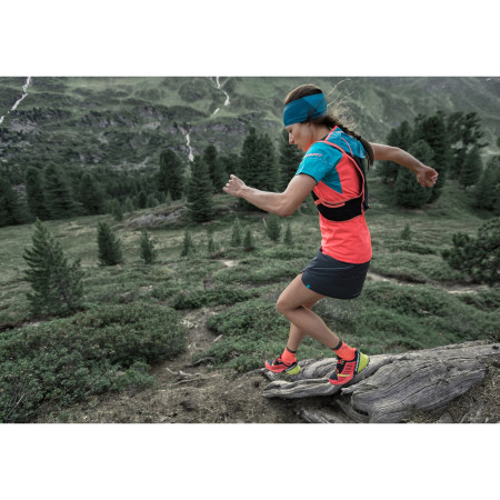 Chaussettes Dynafit Alpine Short Sk