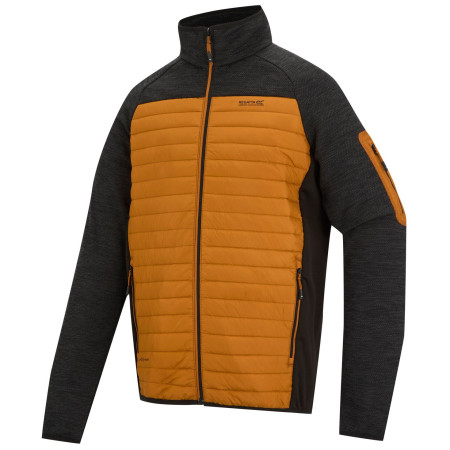 Veste homme Regatta Ceden Hybrid