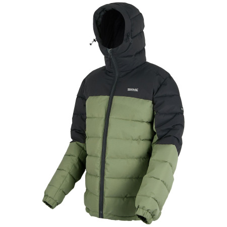 Veste homme Regatta Aldthorn