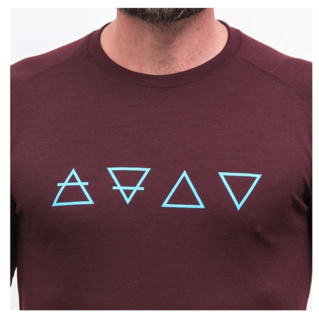T-shirt fonctionnel homme Sensor Merino Blend Elements