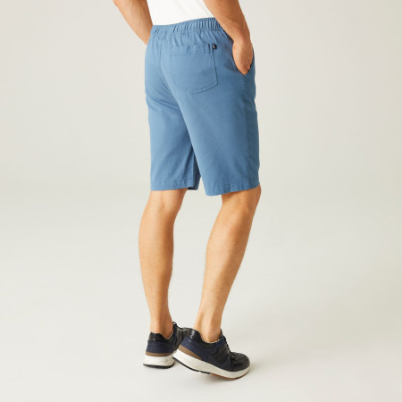 Shorts homme Regatta Aldan Short