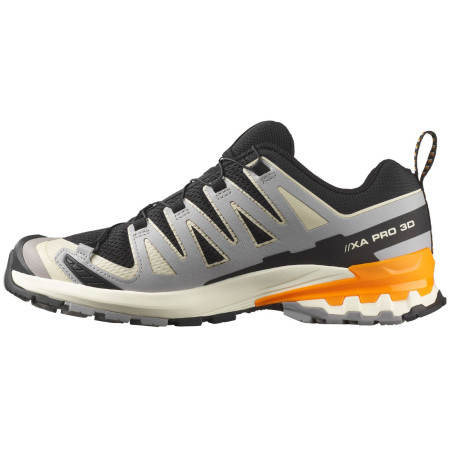 Chaussures homme Salomon Xa Pro 3D V9