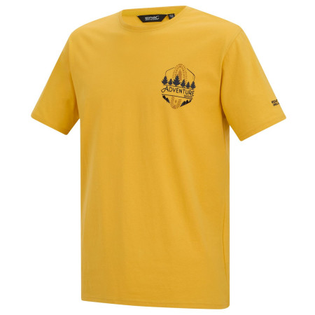 T-shirt homme Regatta Cline IX jaune CeylonYellow