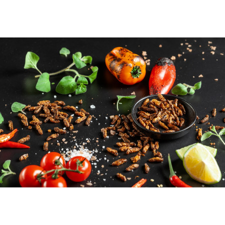 Grillons comestibles Sens Grillons croustillants et grillés - Piment et citron vert