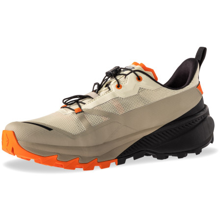 Chaussures homme Dynafit Traverse 2