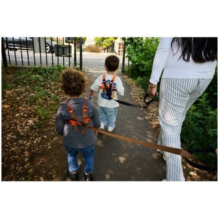 Laisse enfant LittleLife Toddler Reins Dinosaur