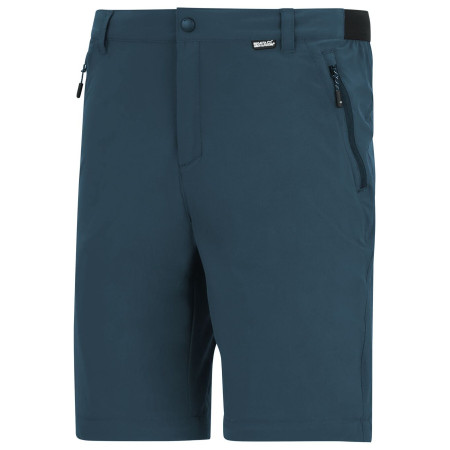 Pantalon homme Regatta Anti-Insect Travel Light Z/O Trousers
