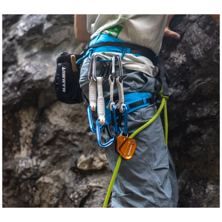 Frein Mammut Assist Belay Resistor