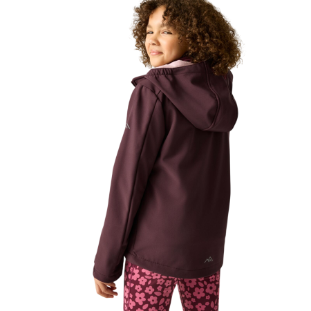 Veste softshell enfant Regatta Haydenbury Fig
