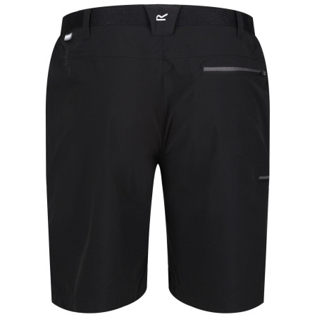 Shorts homme Regatta Xert Stretch Shorts III