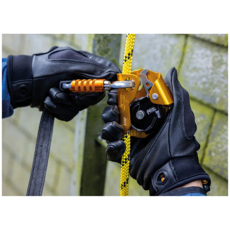 Antichute Petzl Asap