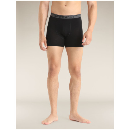 Caleçon homme Icebreaker Mens Anatomica Boxers