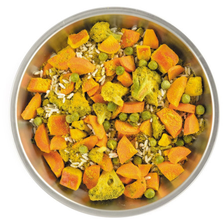 Repas déshydraté Lyo food Nettle Curry 500g