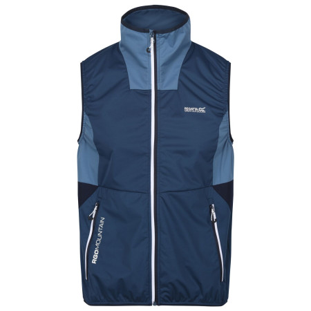 Gilet homme Regatta Lankin V bleue BluWing/Stlr