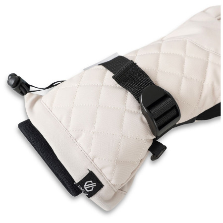 Gants de ski femmes Dare 2b Womens Summit Glove