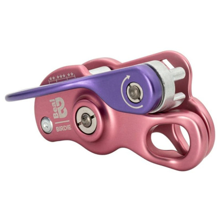Système d'assurage Beal Birdie rose MATT PINK