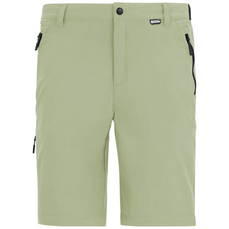 Pantalon homme Regatta Anti-Insect Travel Light Cargo