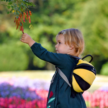 Sac à dos enfant LittleLife Toddler Bee