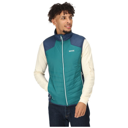 Gilet homme Regatta Halton BW VI
