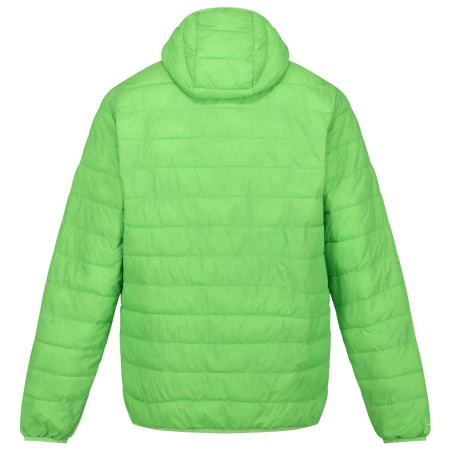 Veste d'hiver homme Regatta Hooded Hillpack