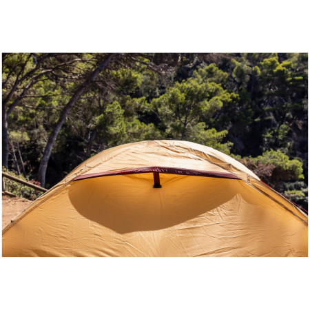 Tente de randonnée Coleman Darwin Summer 4 Plus