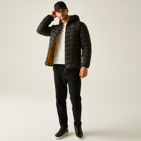 Veste homme Regatta Asper