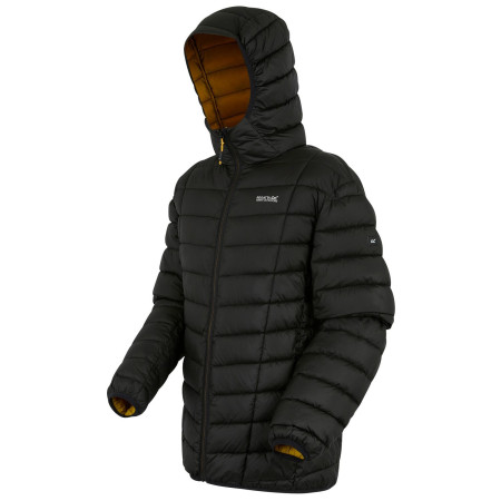 Veste homme Regatta Asper