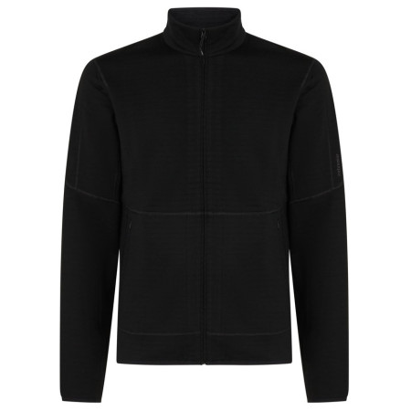 Sweat-shirt homme Icebreaker M Mer 400 RealFleece Descender LS Z noir Black