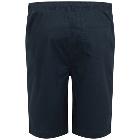 Short homme Regatta Aldan Short