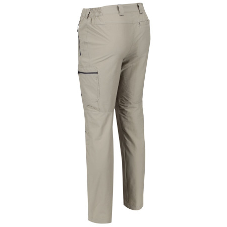 Pantalon homme Regatta Highton Trs Long