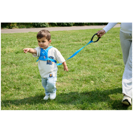 Laisse enfant LittleLife Toddler Reins Triceratops