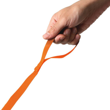 Sac à dos enfant LittleLife Toddler Backpack, FF, Lion