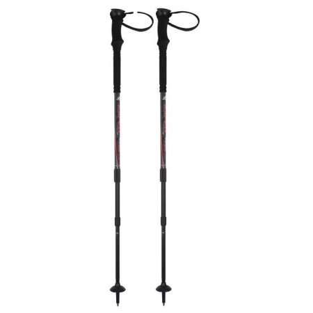 Bâtons randonnée Hannah Exped